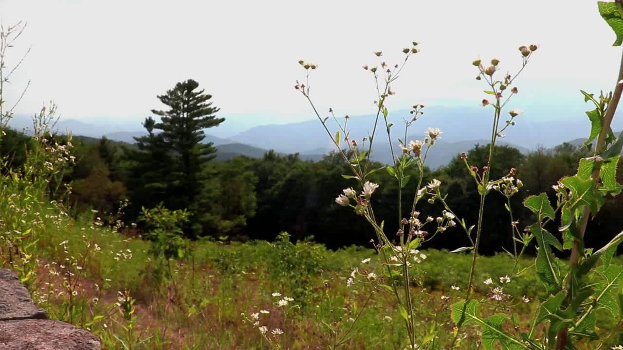 amplia vista de un hermoso prado de montaña, valle y crestas en la distancia