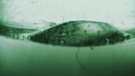 Hochgeschwindigkeits-Zeitlupenbewegung-Des-In-Wasserblasen-Fließenden-Öls-Steigt-Langsam-Nach-Oben