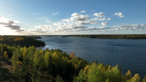 aerial moving over autumn trees, revealing boat in stockholm archipelago