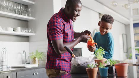 Video-Eines-Glücklichen-Afroamerikanischen-Vaters-Und-Sohnes,-Der-Zu-Hause-Blumen-Pflanzt