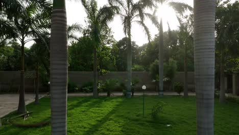 slow aerial dolly view of green garden with tropical palm trees in mirpur khas, sindh