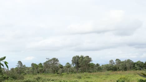 Timelapse-De-Las-Nubes-En-El-Paisaje-Pantanal-En-América-Del-Sur