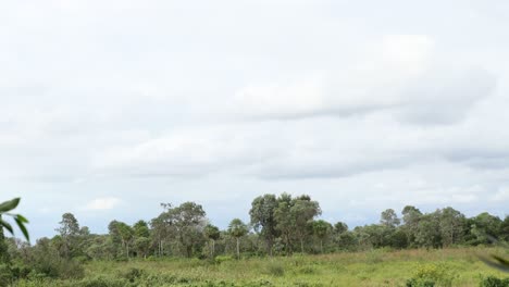 clouds timelapse on pantanal landscape in south america