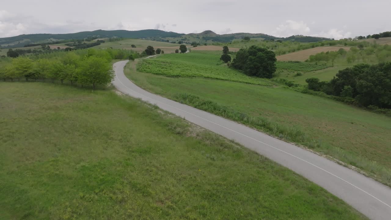 Ripresa aerea su una strada di campagna attraverso la campagna della Tessaglia con vigneti, Grecia.