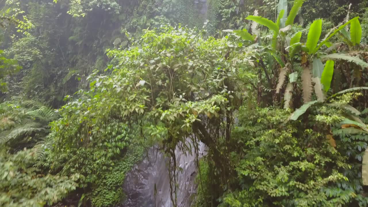 cascada nungnung en medio de bali, indonesia