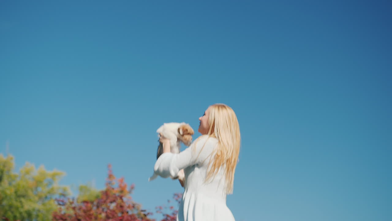 강아지 점프를 들고 여자