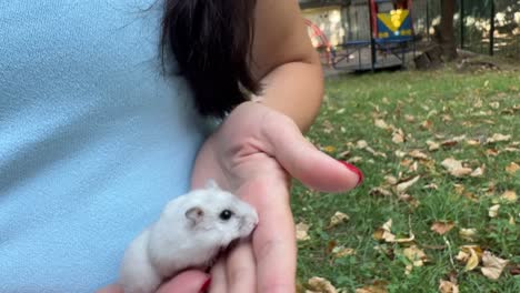 mujer sosteniendo un pequeño hámster blanco