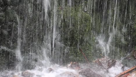 close up of the burgbachwasserfall in the black forest, germany