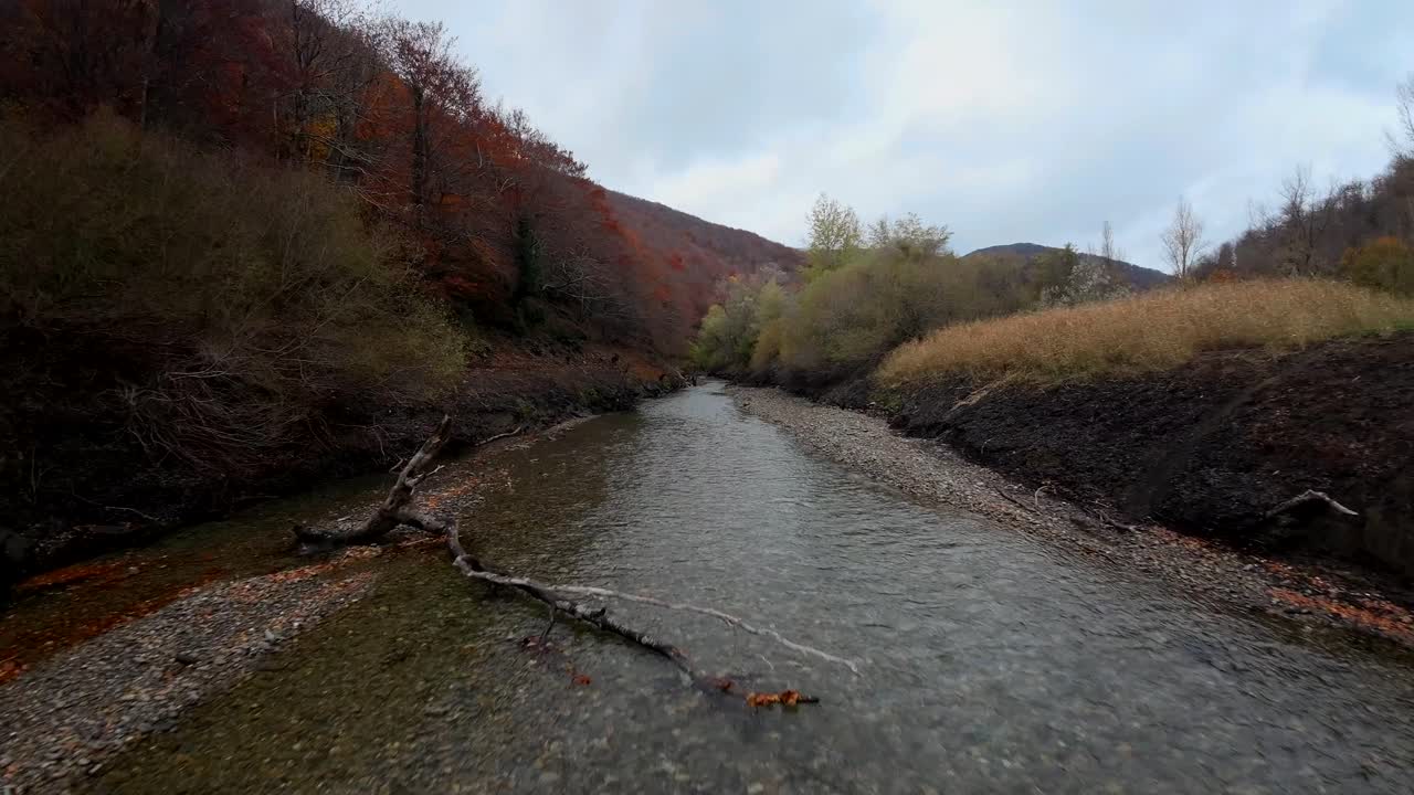 숲을 흐르는 강 위를 고속 저고도 비행하는 드론, 액션으로 가득 찬 아찔한 영상