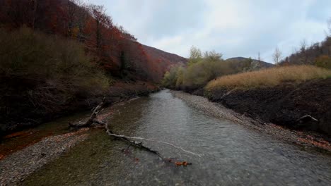 un dron que vuela a gran velocidad y baja altura sobre un río que atraviesa el bosque, un vídeo vertiginoso y lleno de acción