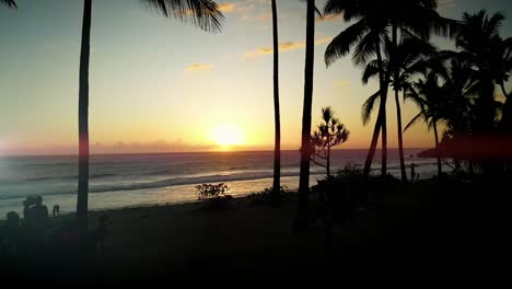 very scenic drone rises slowly above palm trees on the beach as the sun sets behind and the oceans waves are rolling in with very warm colors