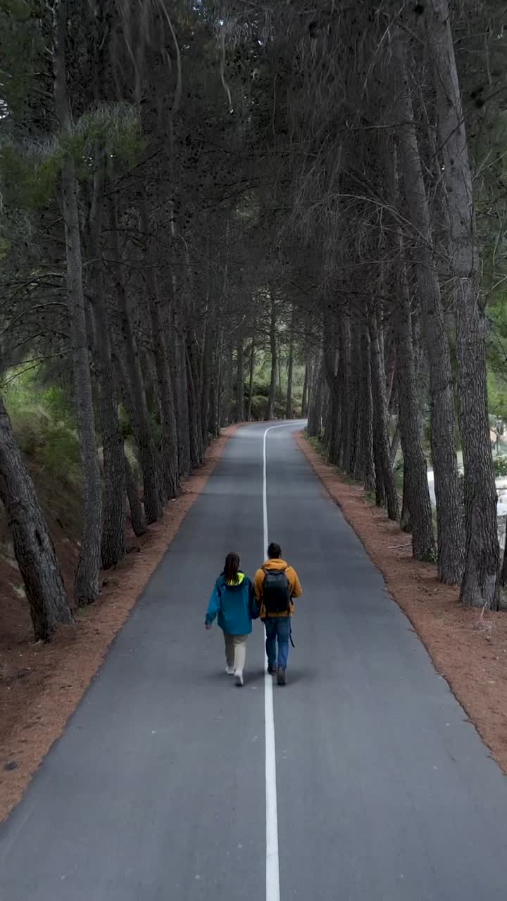 Pasangan Berjalan di Sepanjang Jalan Berjejer Pohon di Hutan