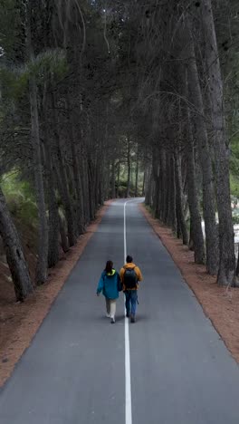 couple walking down a tree-lined road in a forest