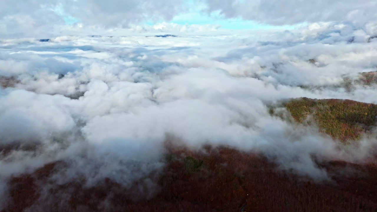 Clouds over autumn forest, serene aerial view, peaceful nature scene
