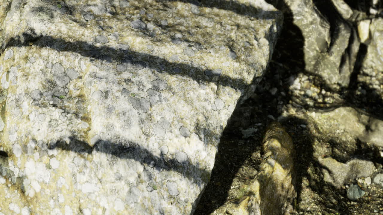 Natural textures and shadows dance on rugged stone at golden hour