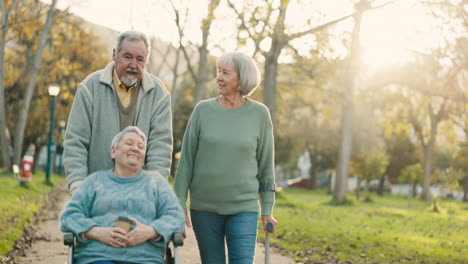 parque, grupo y amigos ancianos en un paseo