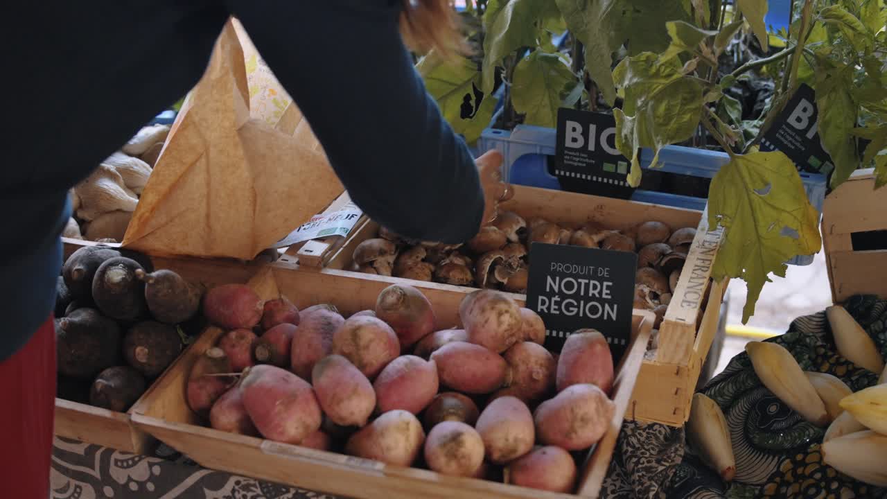 Woman Picking Potatoes at Organic Vegetable Stall