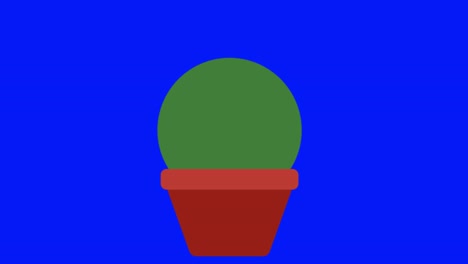 animación simple y colorida de un arbusto verde aislado en una pantalla azul en 4k