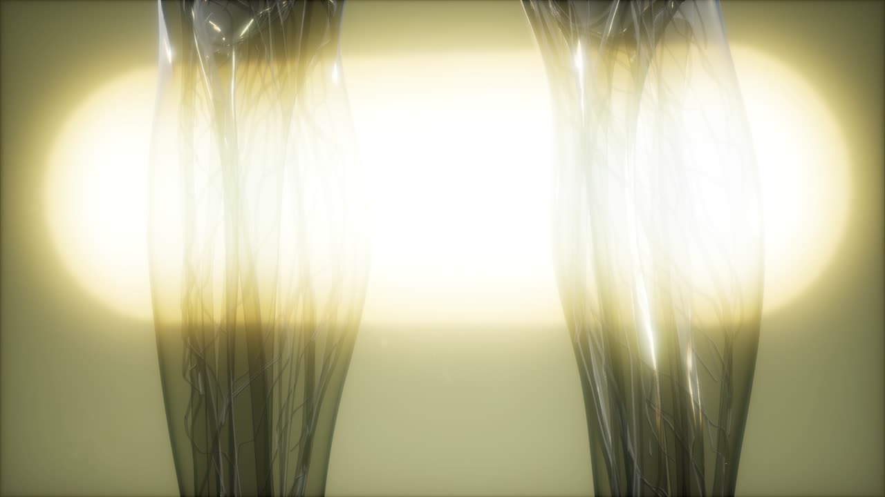 인체 의  ⁇ 스레이 이미지