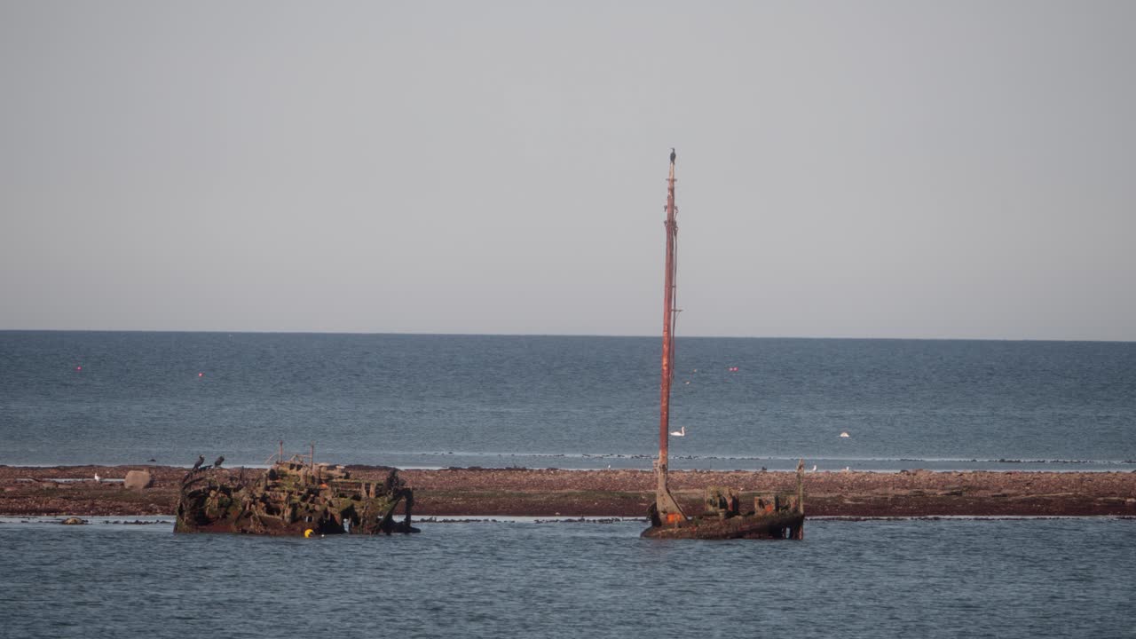 Coastal wreckage, forgotten decaying puffer vessel, maritime history
