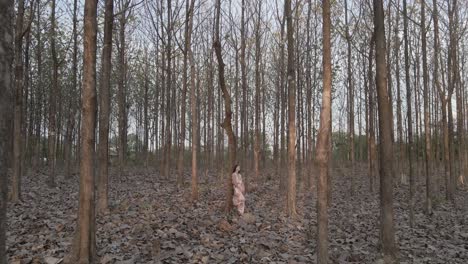 a young woman, alone, leaning against a tree, in a fall forest, golden hour, aerial dolly