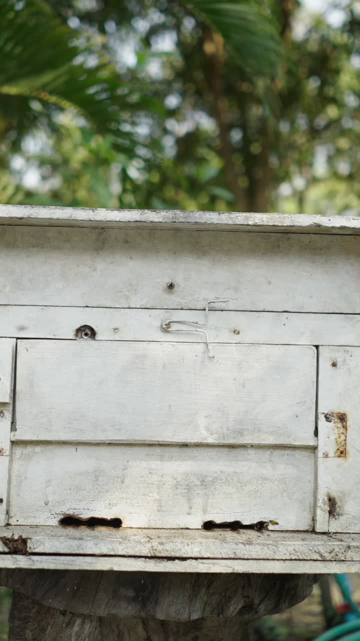 Close-up of a weathered wooden box
