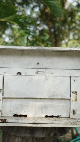 close-up of a weathered wooden box