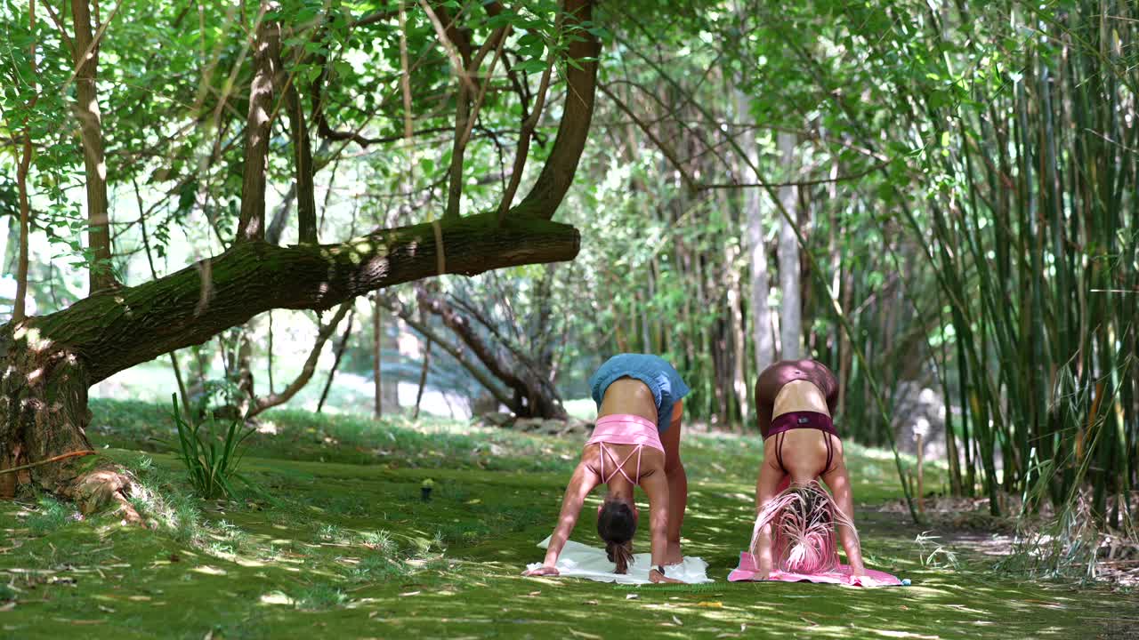 Two women doing yoga in a lush green forest