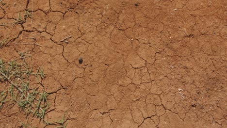 dry cracked soil after drought - top view