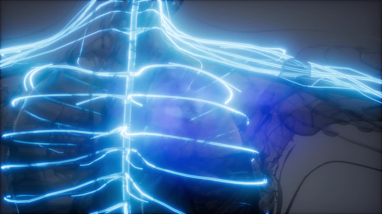 인간 뇌 방사선 검사