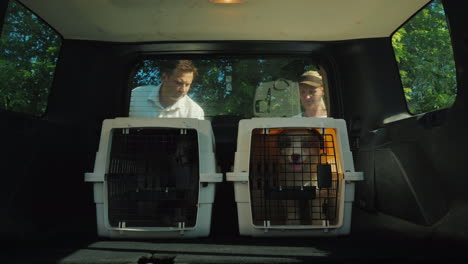 a woman loads the cage with puppies in the trunk of a car get a dog from a shelter concept