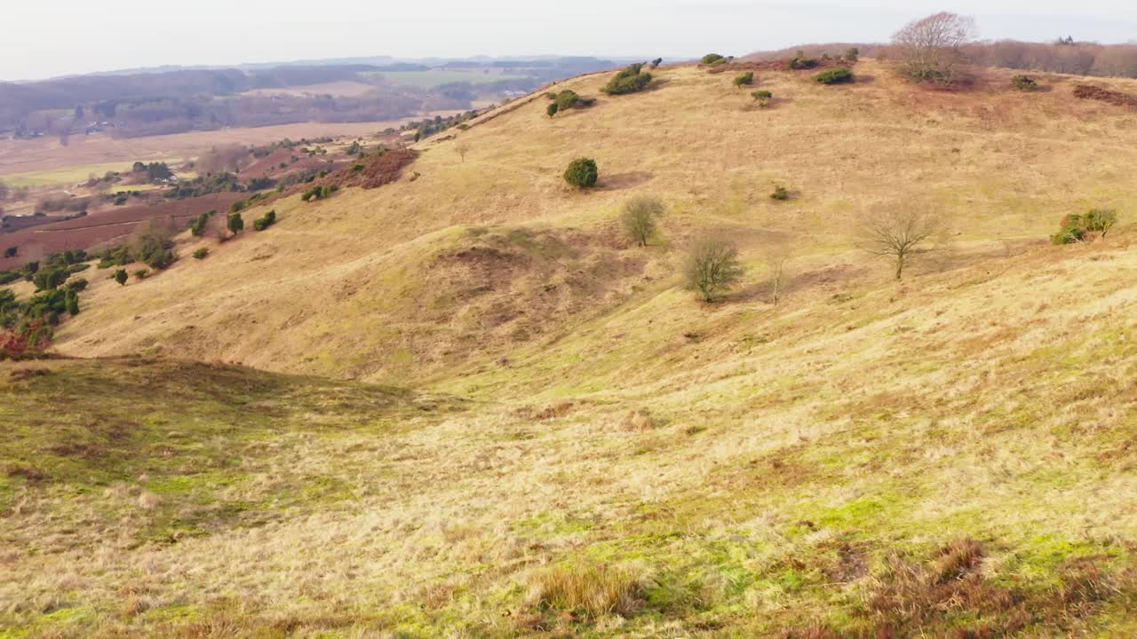 덴마크의 아름다운 숲의 공중 촬영