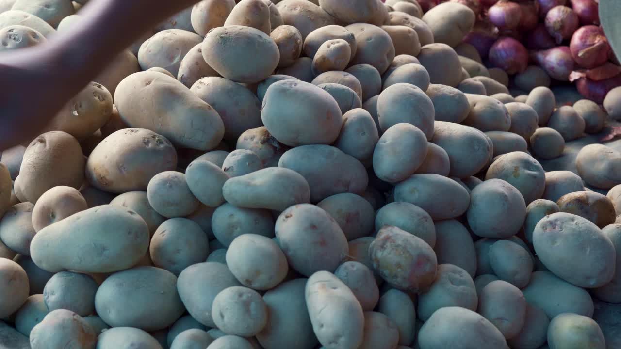 Pila di patate in primo piano al mercato locale, con mani femminili che selezionano e controllano la qualità del cibo, separando le patate.