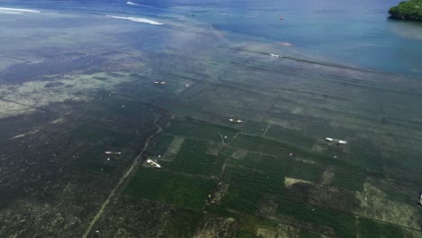 Cultivo-De-Algas-En-La-Bahía-Protegida-De-Las-Olas-Por-Arrecifes