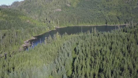 fly over dense forest to a deep blue mountain lake
