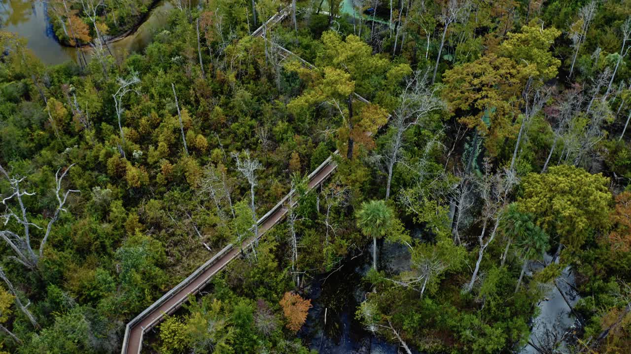 A clear turquoise spring nestled in dense Florida forest near Pitt and Sylvan Springs, showing winding wooden pathways, reflective water, and lush subtropical vegetation in tranquil natural harmony