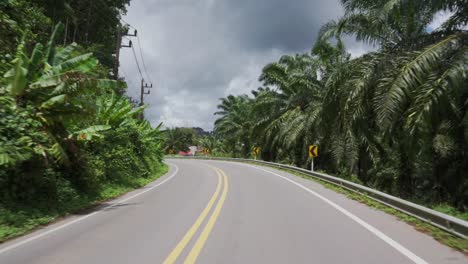 Drive-backward-on-an-empty-tropical-road,-navigating-a-bend-POV