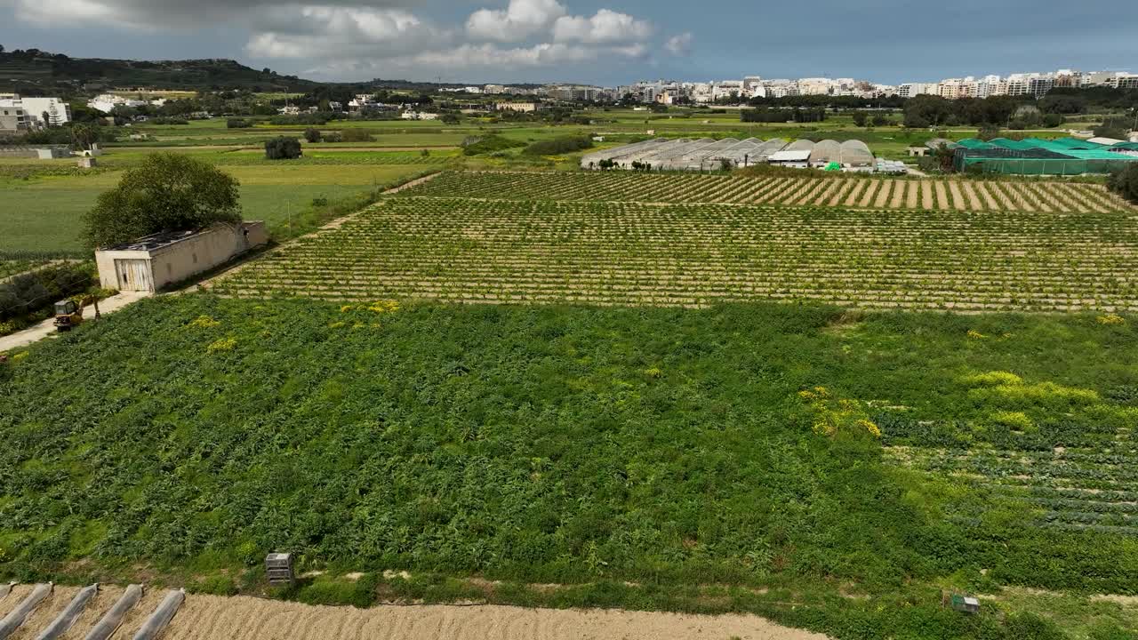 Drone pans across lush Maltese fields with neat crop rows, greenhouses, and a rural shed, unveiling a vibrant agricultural landscape stretching toward a distant village under a bright sky.