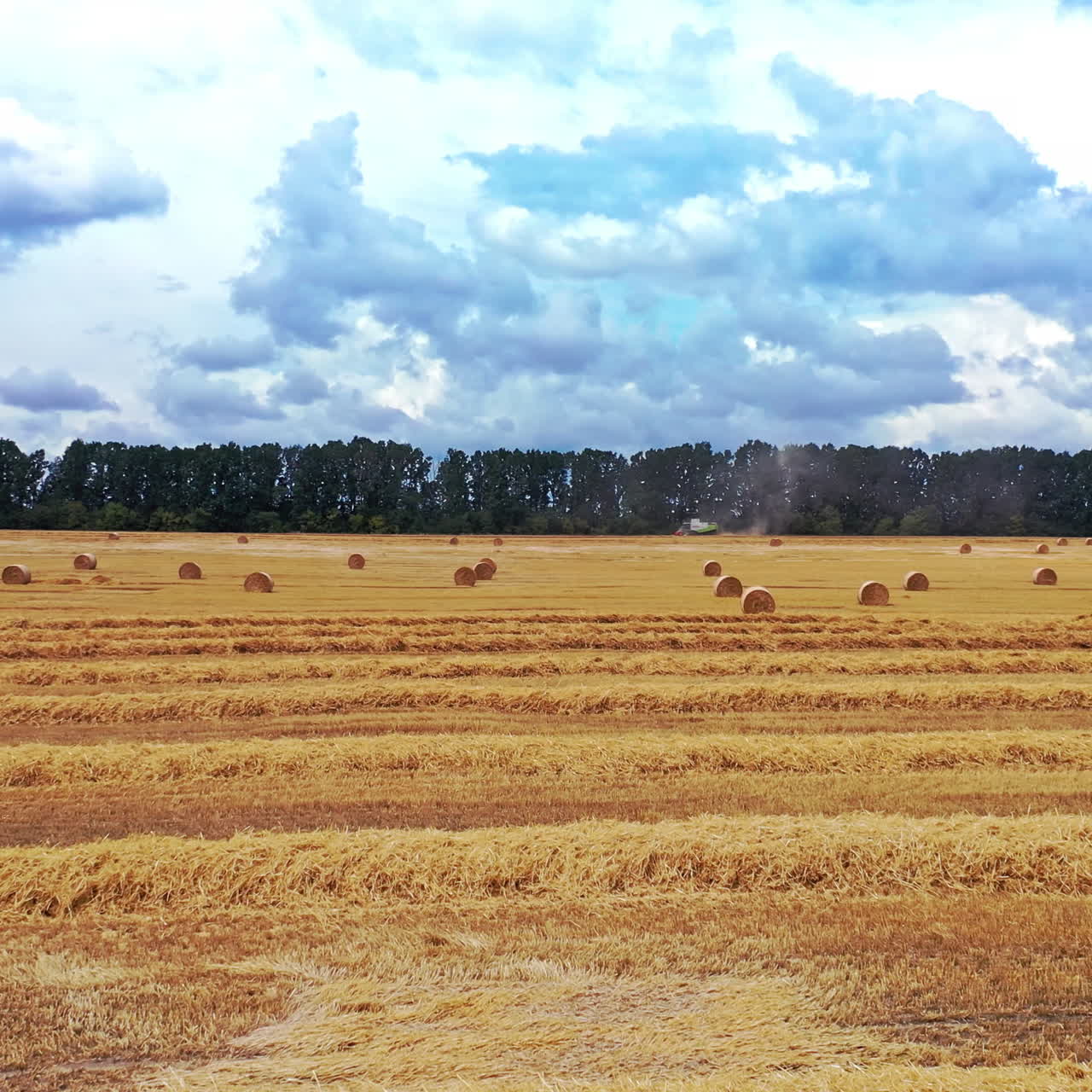 Flight over the golden field with pressed bales outdoors. Agricultural background of the field and round bales laying on the ground. Motion camera forward.