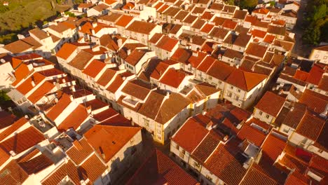 aerial view of a charming portuguese village with red tile roofs