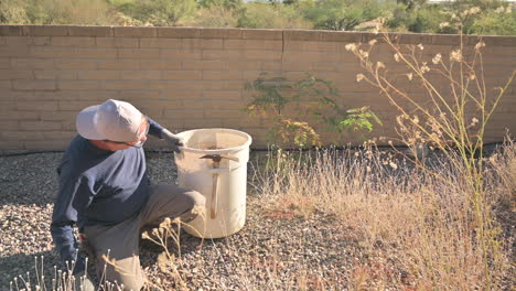 senior male homeowner pulls out weeds in backyard