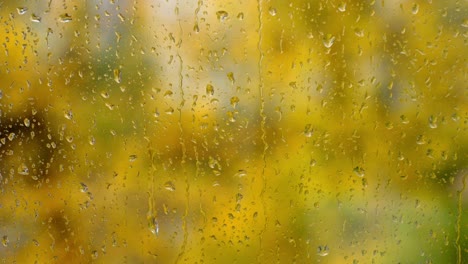 raindrops on a window with vibrant autumn colors in the blurred background creating a cozy feel