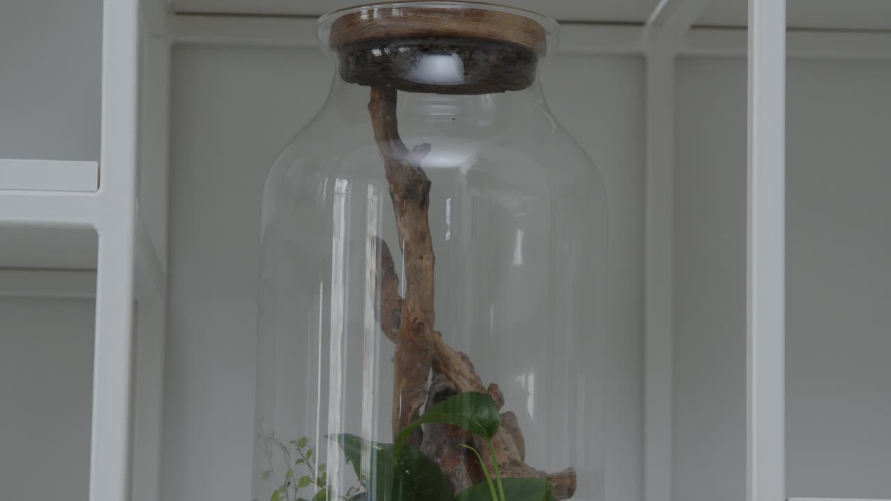 taller floral con las diminutas composiciones florales listas para usar en el tiro inclinado del terrario