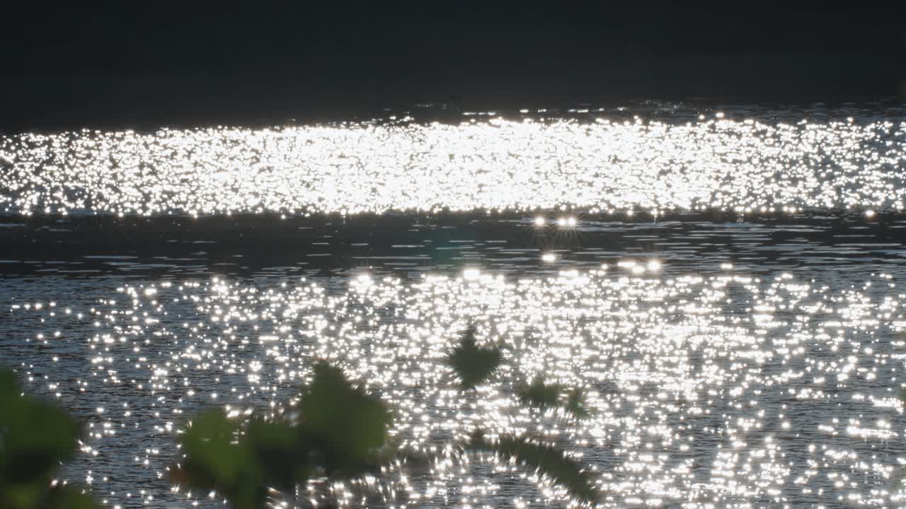 Miriads of sun flares dance on the rippled water's surface