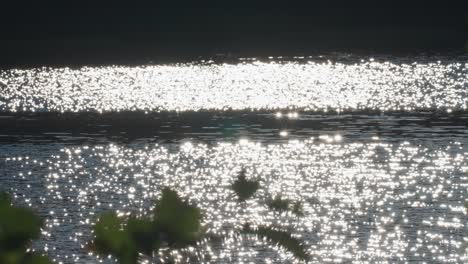 miles de llamaradas solares bailan en la superficie del agua ondulada