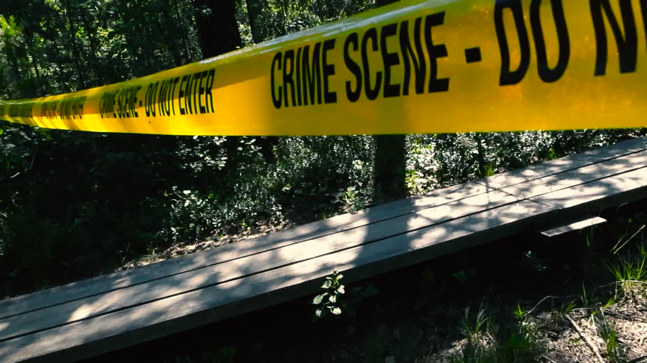 Side view of wooden boardwalk in marshland wooded area marked by yellow police tape across the forest bog hiking trail. Crime scene along wetland pathway with dense tree canopy, sunlight and shadows