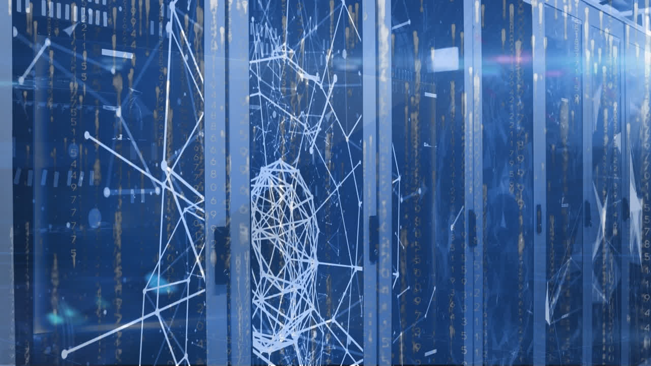 Animation of networks and data processing over computer servers