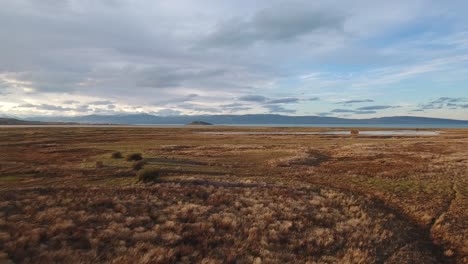 Beautiful-aerial-of-a-marsh-in-Patagonia-on-the-edge-of-Lago-Argentina-El-Calafate-Argentina