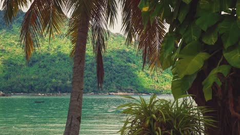 beautiful cinemagraph seamless video loop of a squirrel on a palm tree at a remote tropic asian seaside sand beach at perhentian island, malaysia with vibrant panoramic sea view. blue sky and turquoise water at scenic tourist vacation location.