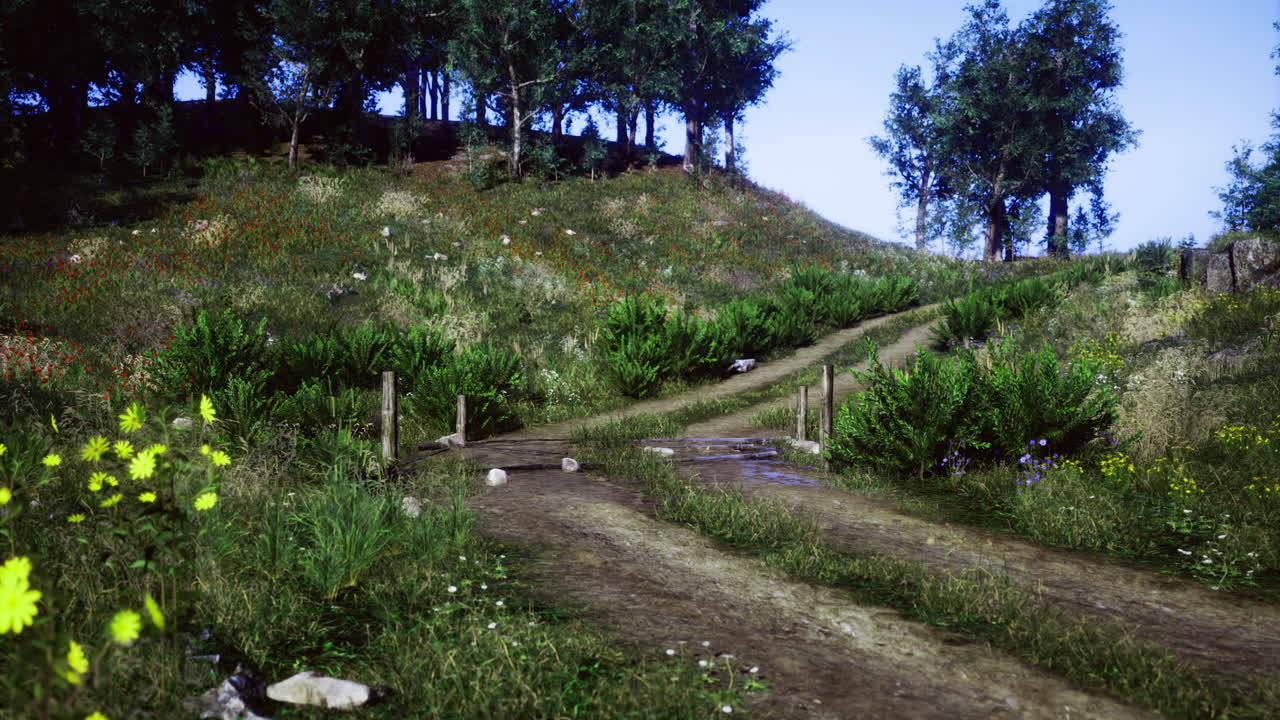 Peaceful dirt path winding through lush green landscape during sunny day